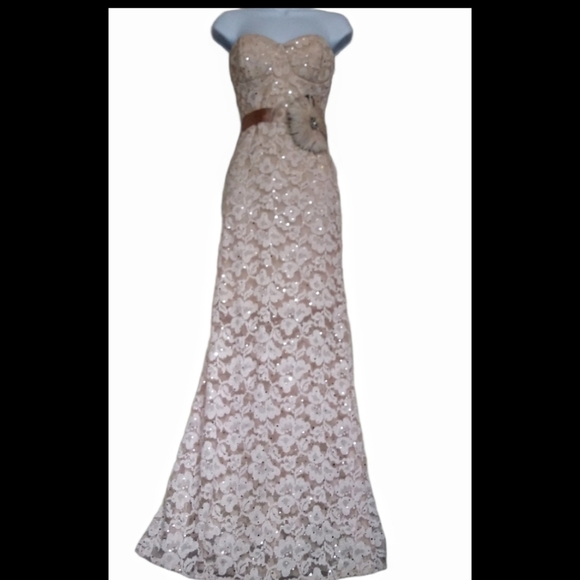 Vintage rose gold lace dress - Picture 2 of 9